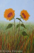 sunflowers