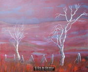 Old Fence, Sutherland