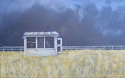 abandoned-shed