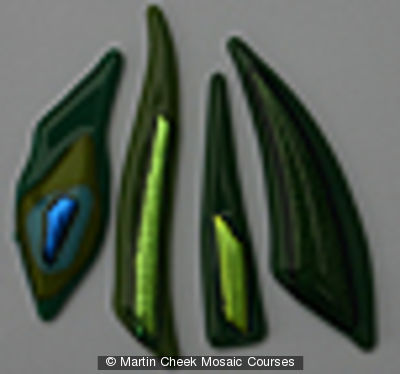 Grass / Foliage