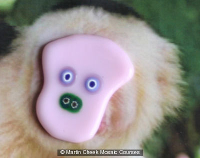 Monkey face