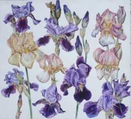 Watercolour painting with Cherryl Fountain