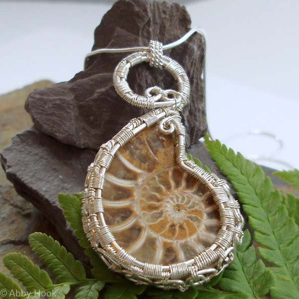 Ammonite Spirals