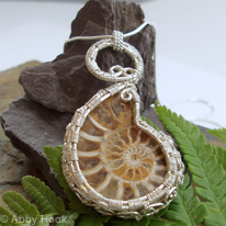 Ammonite Spirals