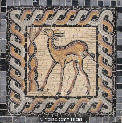 Deer 1