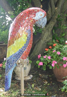 Macaw
