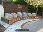 The Mosaics in Situ