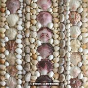 Shell House (Detail)