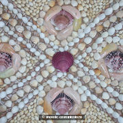 Shell House (Detail)