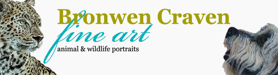 Bronwen Craven - Fine Art