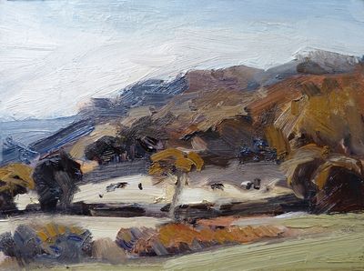 cattle grazing sunlit field