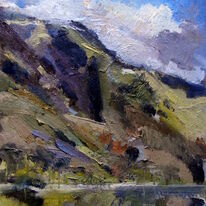 Buttermere Study 1