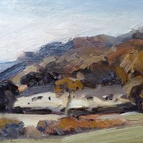 cattle grazing sunlit field