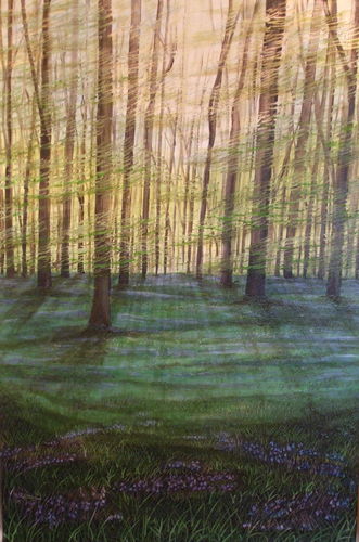 Bluebell Wood 2