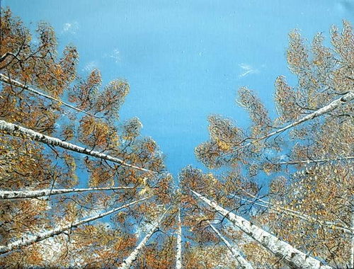 Reaching Up  