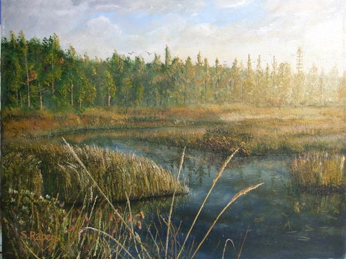 Morning sunlight