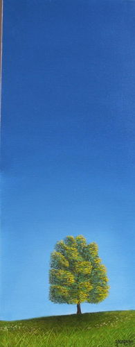 One Year Trees summer