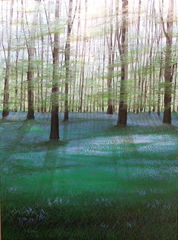 Bluebell Wood