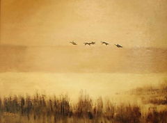 Sunset Flight