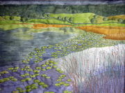 Blea Tarn Ghyl