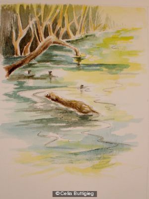 Swim for the river bank