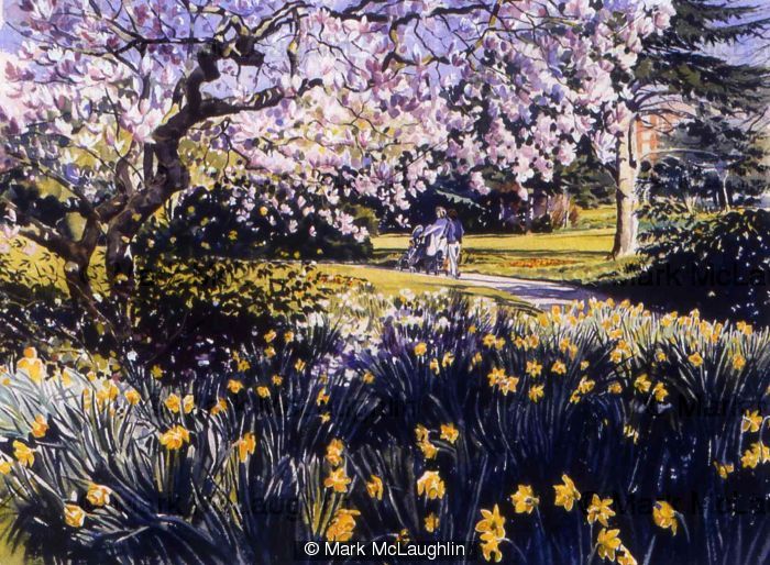 Magnolia