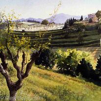 Evening light, Umbria.