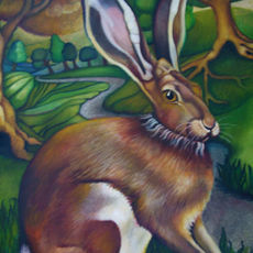 Hare at sunset