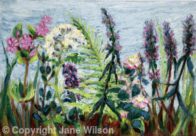 Hedge Flowers, August