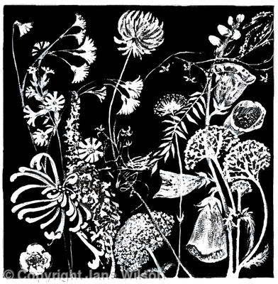 Hedge Flower Frieze 1