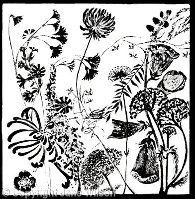 Hedgerow Flowers Frieze 2
