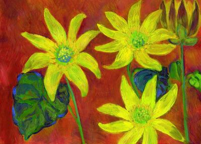 Celandines