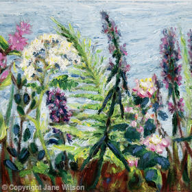 Hedge Flowers, August