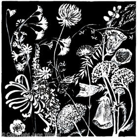 Hedge Flower Frieze 1
