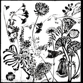 Hedgerow Flowers Frieze 2