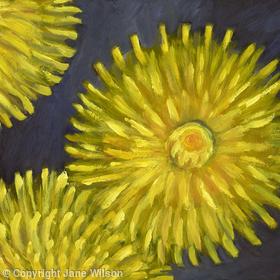 Dandelion Seed Machine