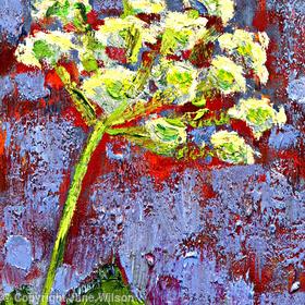 Umbel Head, Orange Ground