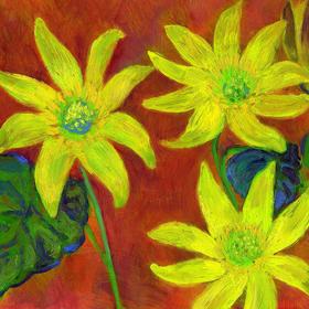 Celandines