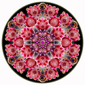 MANDALAS