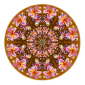 MANDALA
