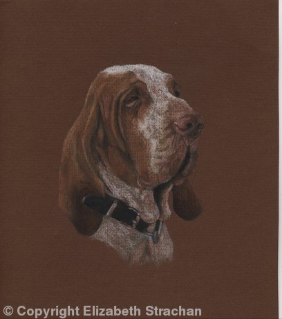 Luca
