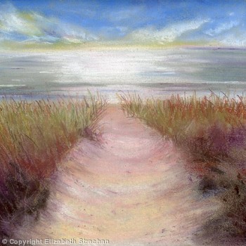 Cape Cod