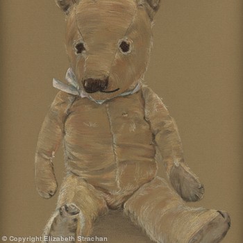Teddy