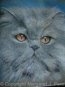 Winston
