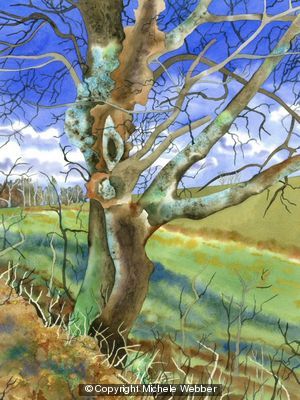 Gnarled Tree (Artist's ref 0411GN LEP)
