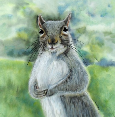 Expectant Squirrel (Artist's ref 0510EX) 