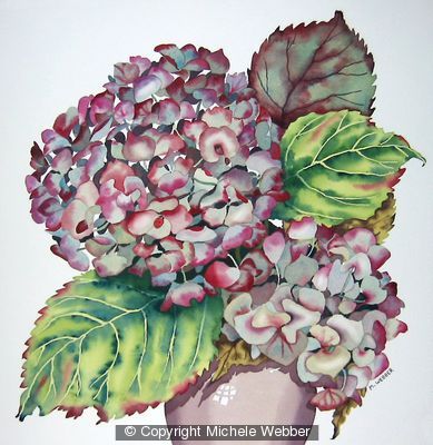 Autumn Hydrangea (Artist's ref 1209AU)