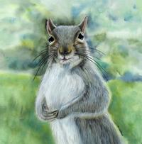 Expectant Squirrel (Artist's ref 0510EX) 
