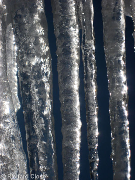 Icicles 1