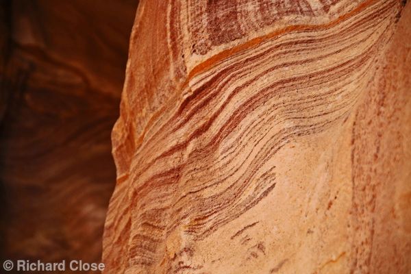 Red Layers